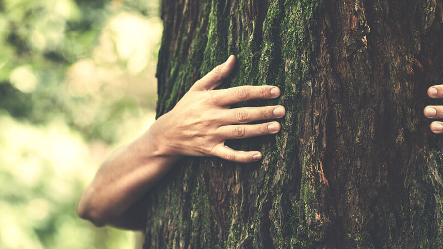 Nachhaltigkeit: Mensch, der einen Baum umarmt