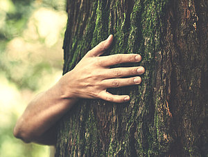 Nachhaltigkeit: Mensch, der einen Baum umarmt