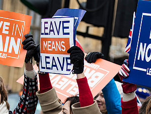 Britische Brexit-Demonstranten