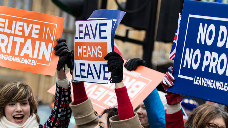 Britische Brexit-Demonstranten