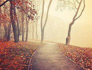 Straße im Herbst