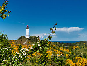 Hiddensee - Dornbusch-Leuchtturm