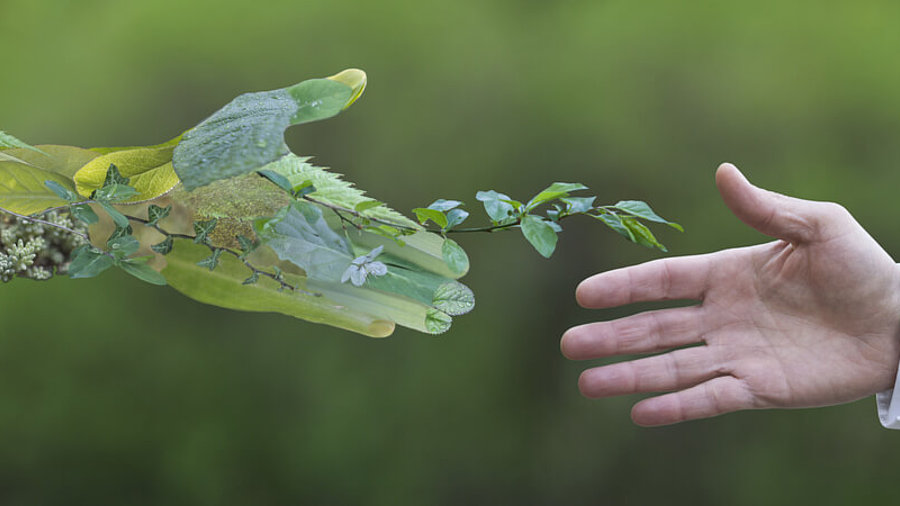 Gr&uuml;ne Allianz: Hand eines Gesch&auml;ftsmannes, der eine gr&uuml;ne Hand greift