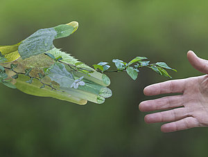 Gr&uuml;ne Allianz: Hand eines Gesch&auml;ftsmannes, der eine gr&uuml;ne Hand greift