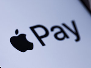 Apple Pay Logo