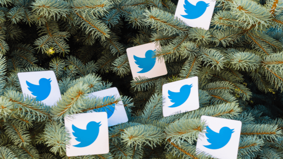 Bilder von Twitter-Vögeln im Weihnachtsbaum