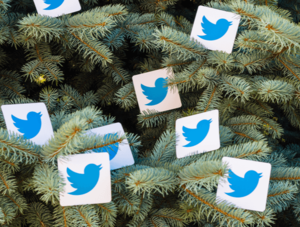 Bilder von Twitter-Vögeln im Weihnachtsbaum