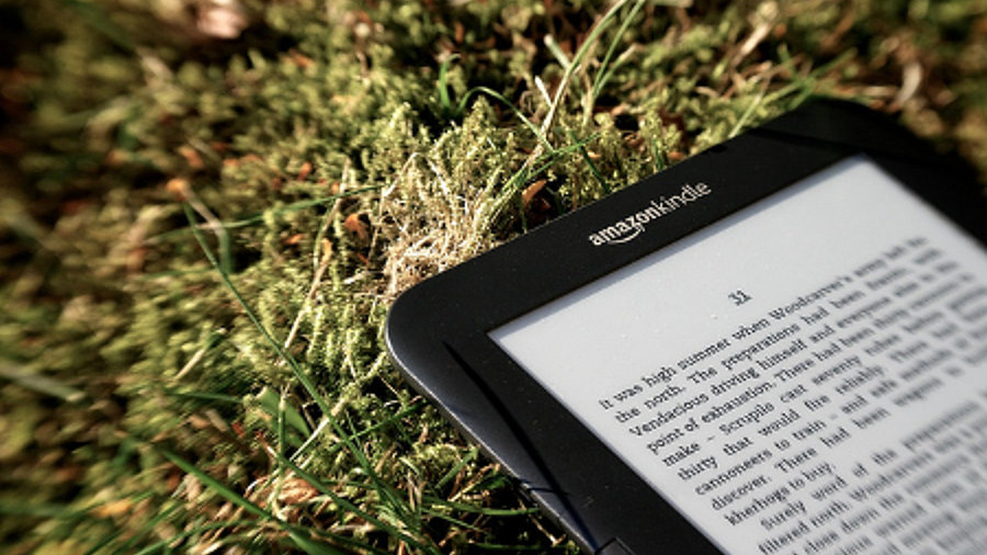 Amazon Kindle E-Book-Reader im Gras