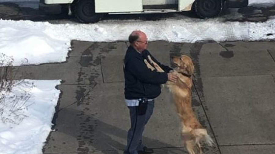 Hund und Postbote 