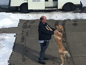 Hund und Postbote 