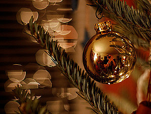 Weihnachtsbaum / A Trimmed Tree