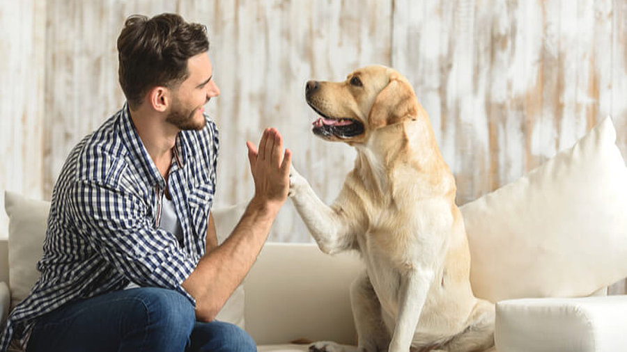 Mann mit Hund