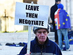 Pro-Brexit-Demonstrant