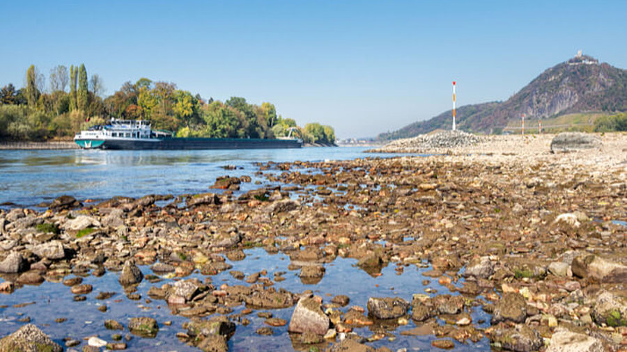 Niedrigwasser am Rhein