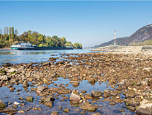 Niedrigwasser am Rhein