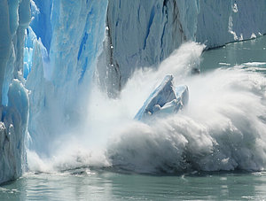 Eisscholle f&auml;llt ins Meer