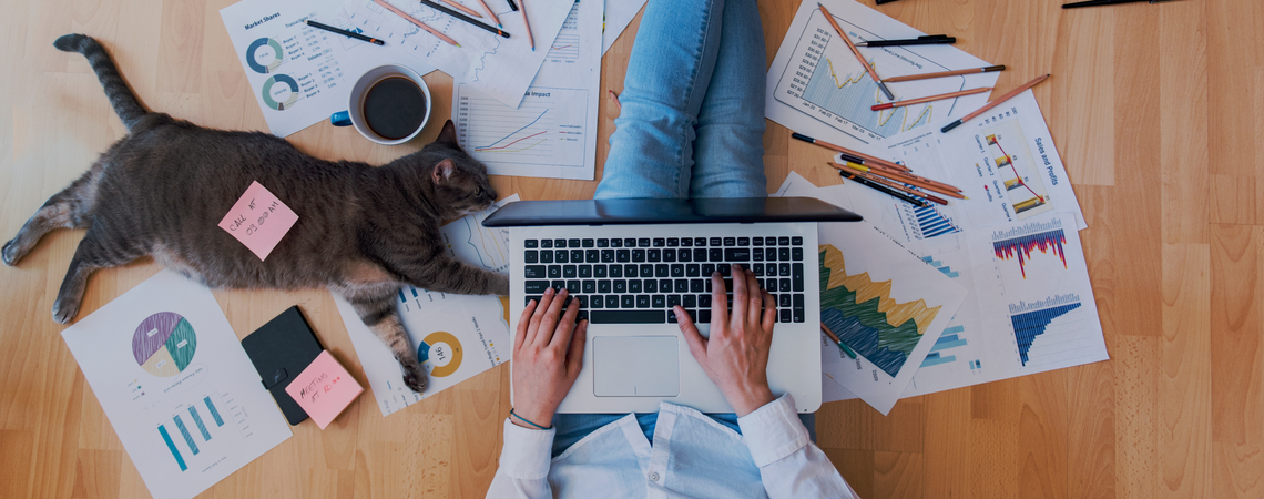 Mensch mit Katze im Homeoffice