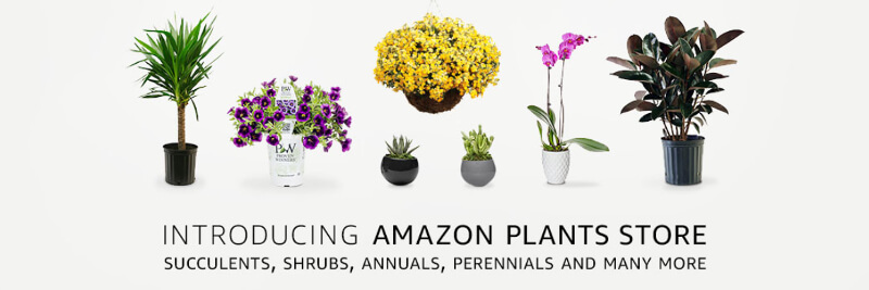 Screenshot des Amazon Pflanzen Spezial-Shops: Amazon Plants