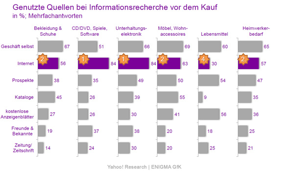 Auszug Enigma-GfK-Studie Januar 2010