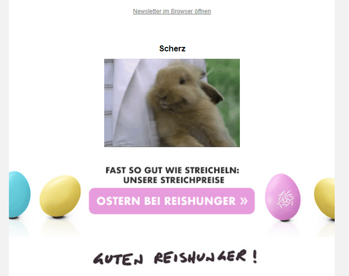 Screenshot Reishunger-Newsletter / Reishunger