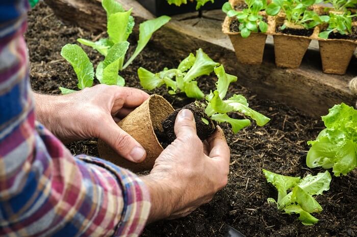 Gartenarbeit