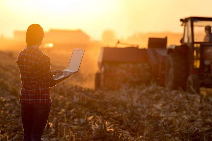 Landwirtin bei Sonnenuntergang